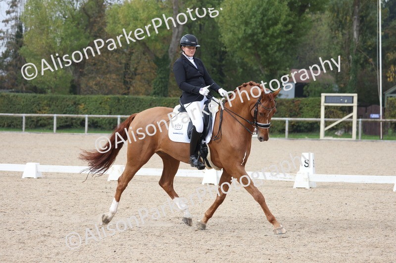 20251012-0787 - Class 9 - Advanced Medium 3