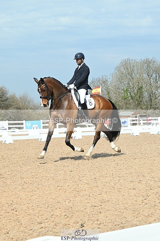 250403-110137-01772 - 042-Dannie.Morgan-Fever.Tree