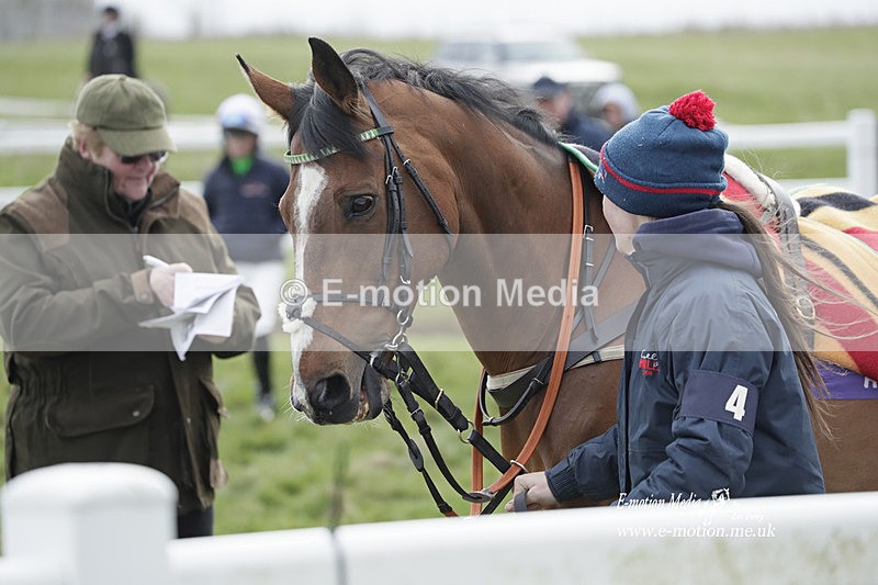 PtP 260323 1062 - New Forest Hounds Point-to-Point Larkhill 26/03/23
