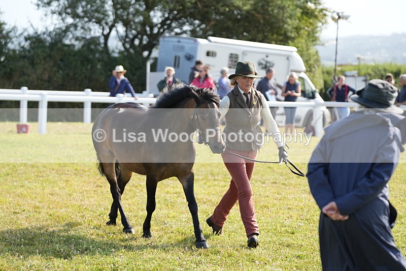 DSC05075 - Class 48: NPS M&M 2/3 year olds