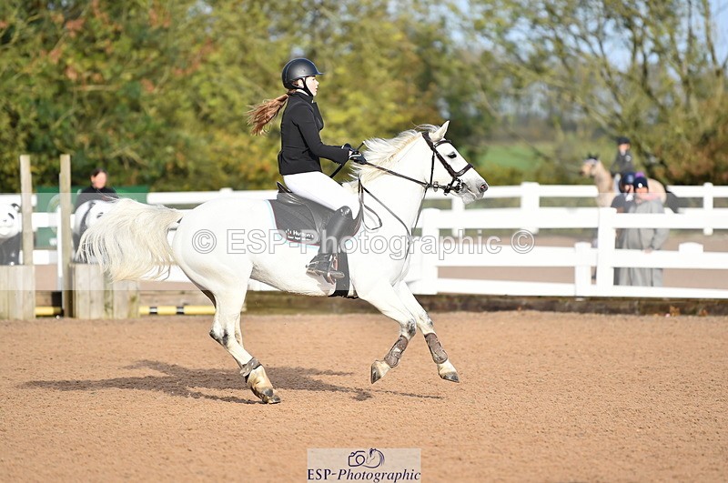 231028A-101250-00337 - Cls 1 Pony 70cm