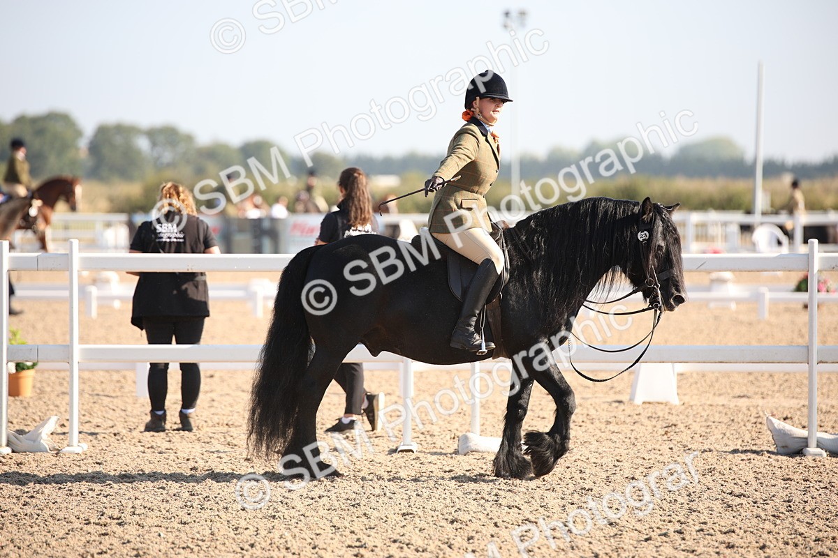 SBM_00663 - Class 14 Ridden M&M Wildcard