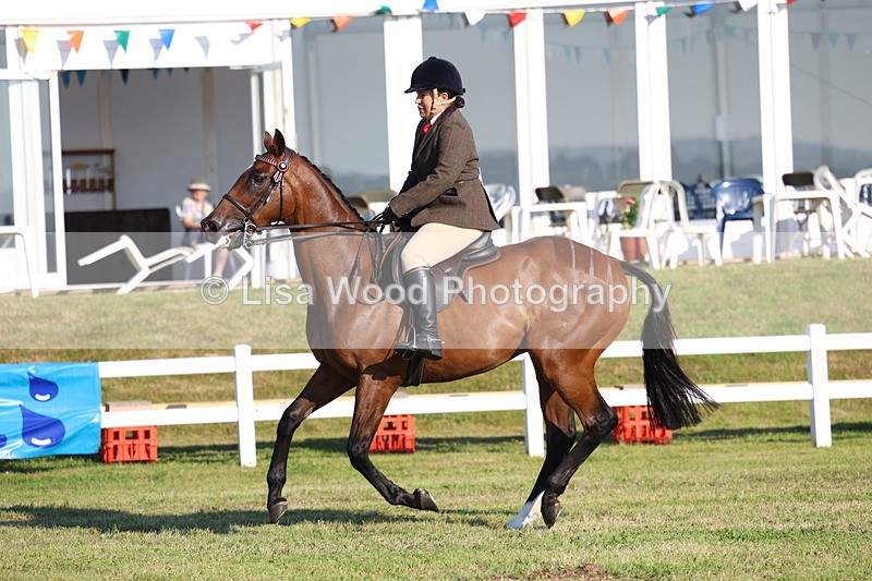 3E7A5010 - Class 1: Rising Star Small Hack/Riding Horses