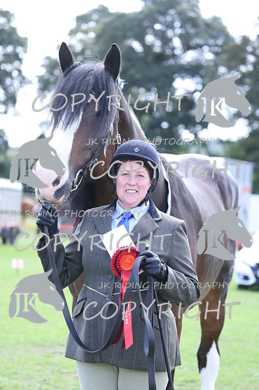 APP_3331 - Class 4 Veterans