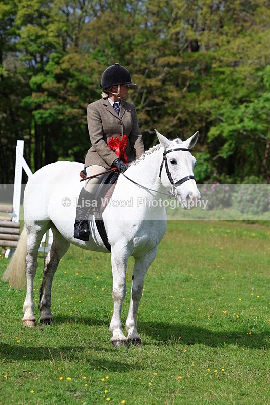 3E7A2735 - Working Hunter Championship