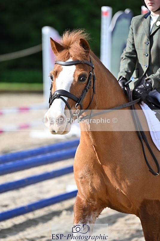 240413-090947-00195 - Cls 1+2 60cm