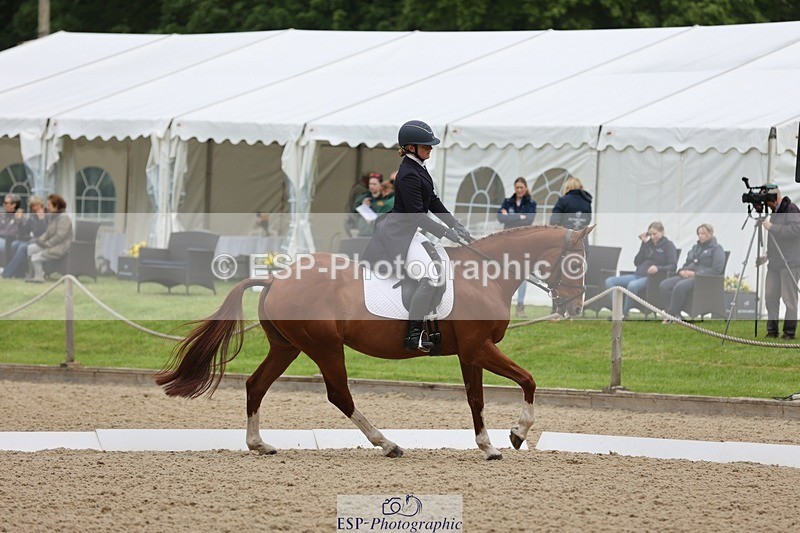 240524-090440-07050 - 251-MILESTONE_GOLD-Gaby_Bull