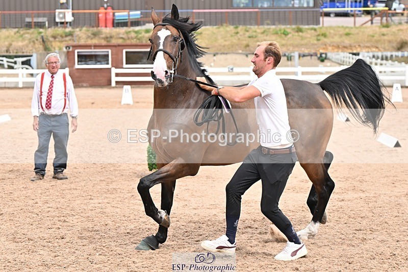 250716-161609-02540 - Trot Up 3.30 to 4.30