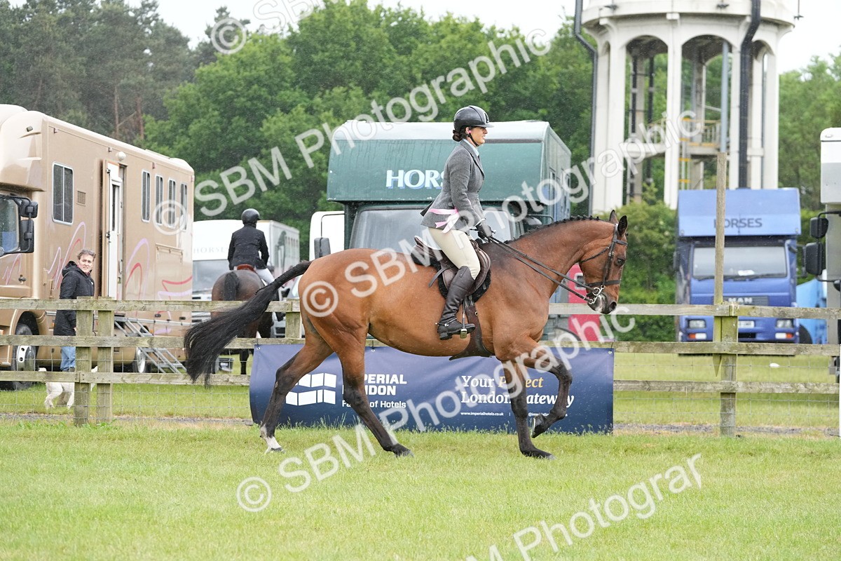 SBM_12828 - Class 97-98 - LIHS BSHA Rising Star Working Show Horse Hunter