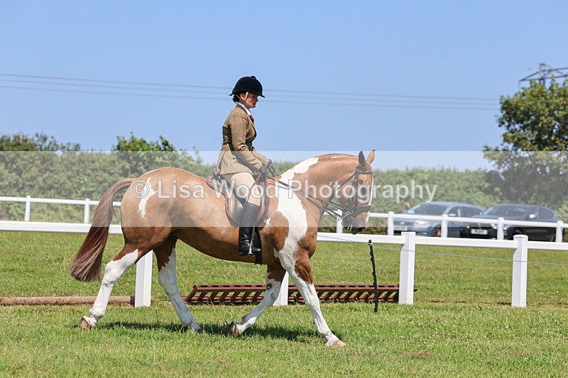 IMG_2299 - Class 38: Veteran Ridden