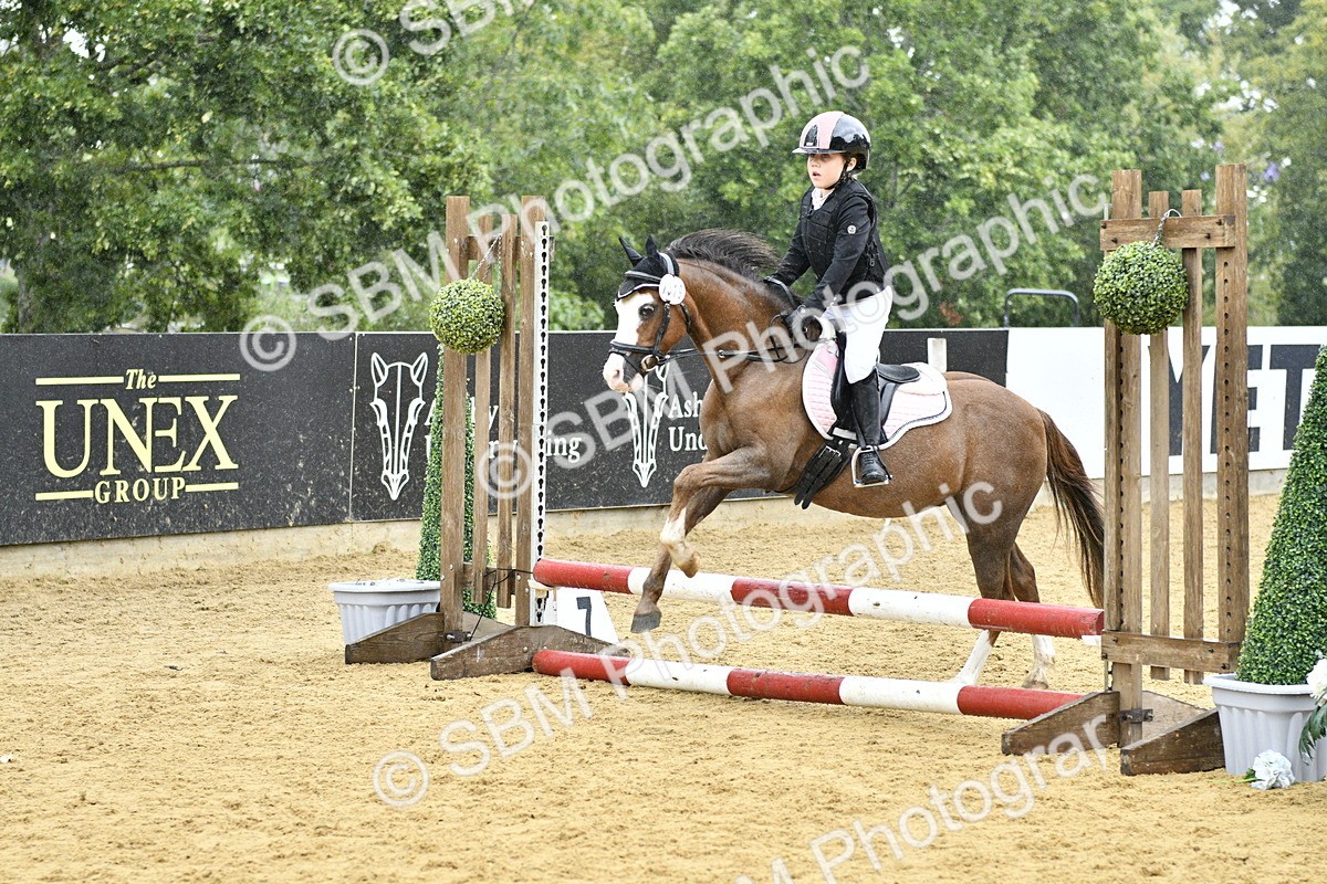 SBM_70811 - J3 - Mini Tour Junior Pony 40cm championship