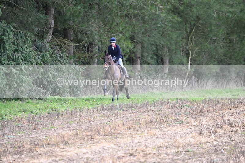 WJ6_9446 - Line Four