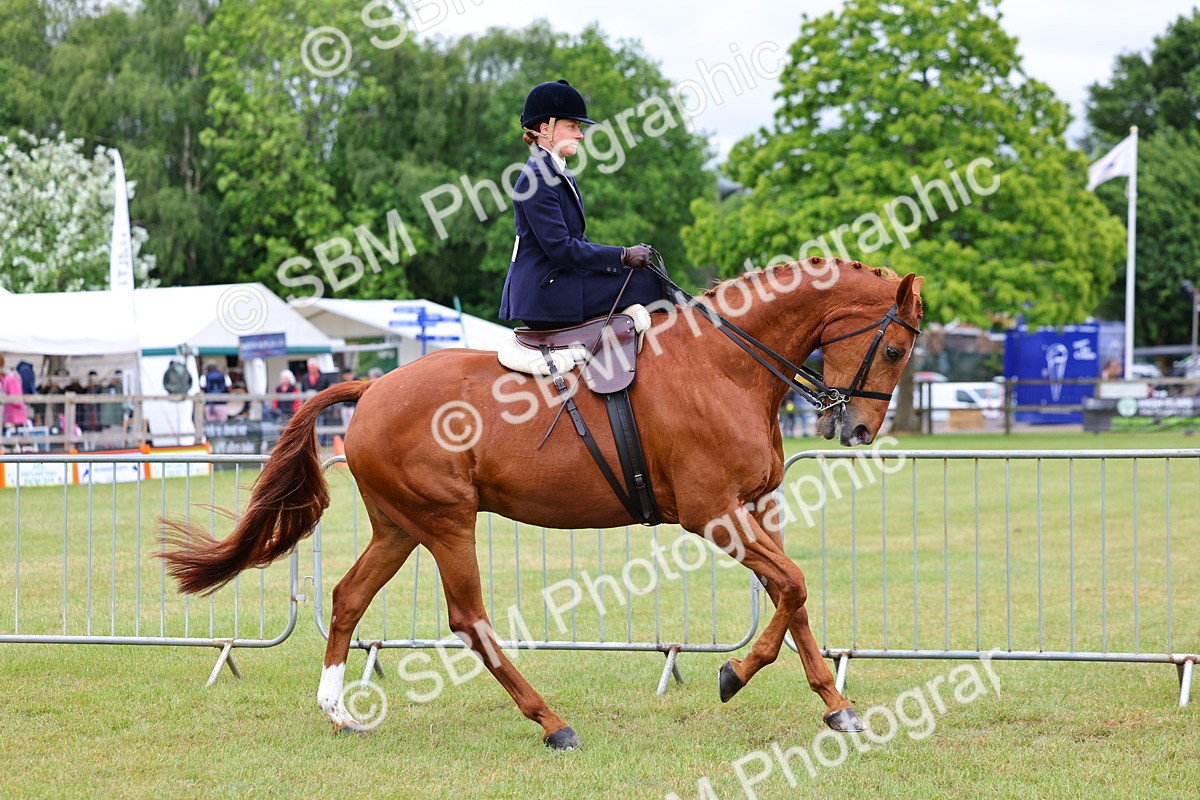 SBM_02943 - Class 9-11 Side Saddle including LIHS Rising Star Ladies Show Horse
