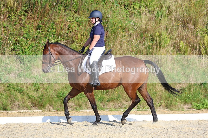 3E7A3581 - Class 2: Intro 1 2024 Section B