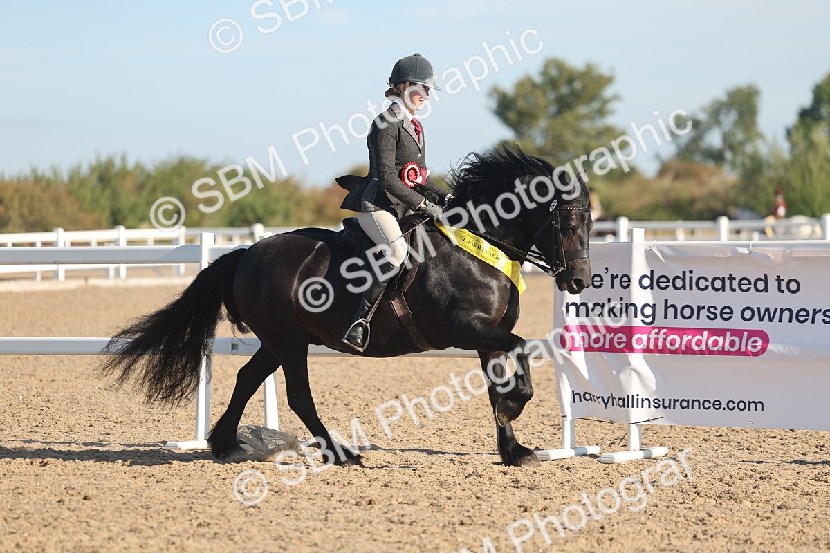 SBM_11143 - Class 302 - Ridden M&M Large Breeds
