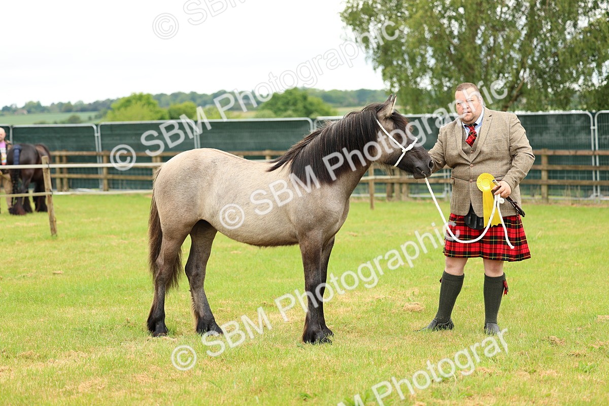 SBM_00446 - Class 58-67 - M&M Non Welsh Pony In hand