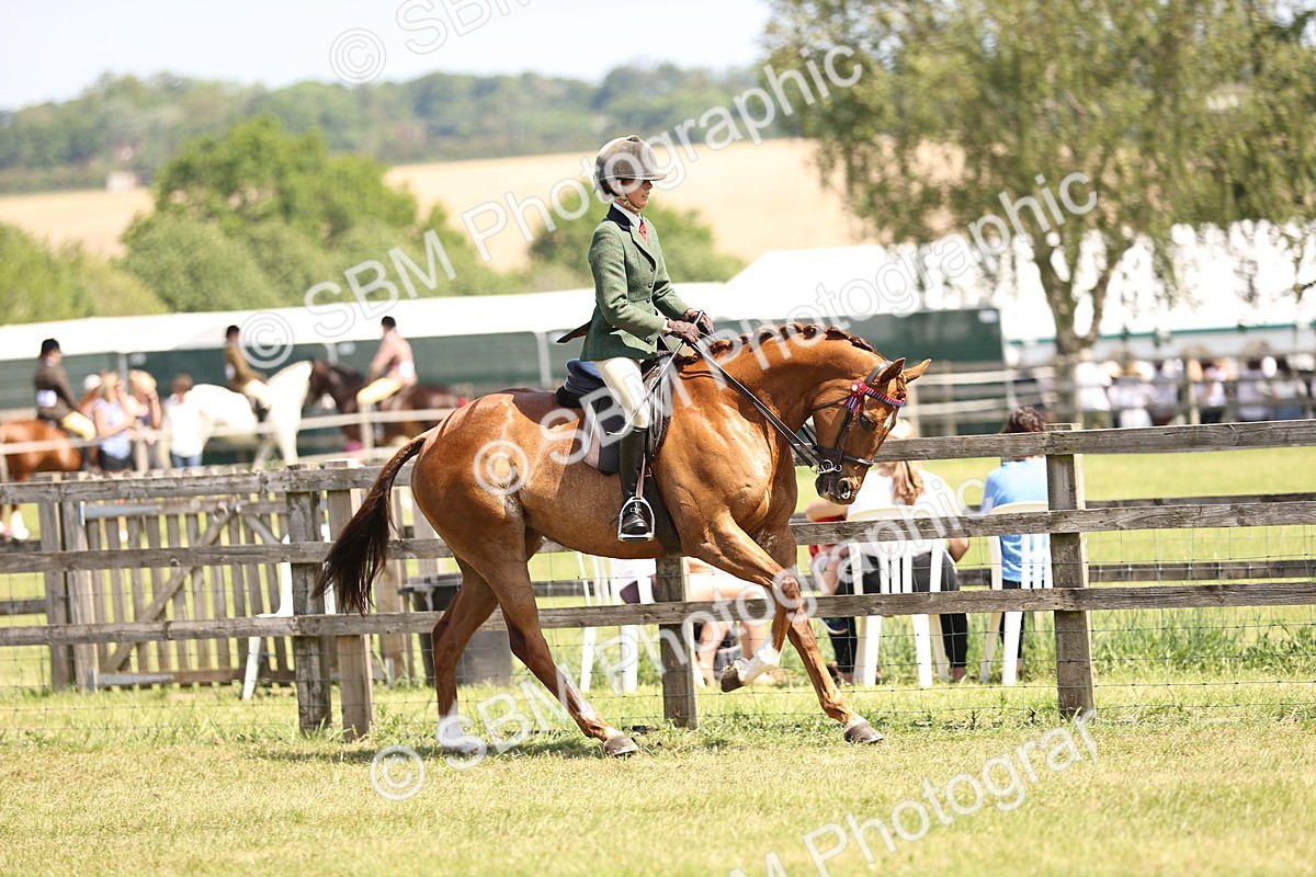 SBM_14852 - Class 78 - LIHS BSHA Open Racehorse & Show Horse