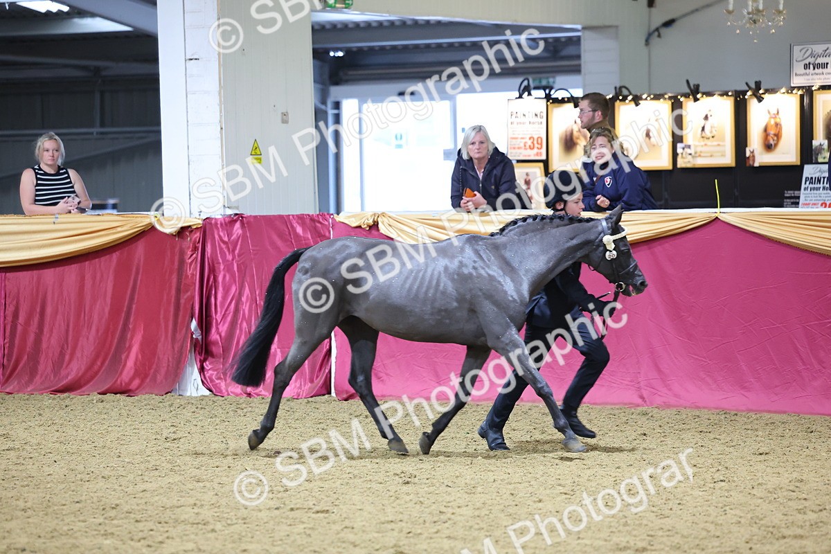 SBM_18549 - Class B Junior Champ 11-16 years