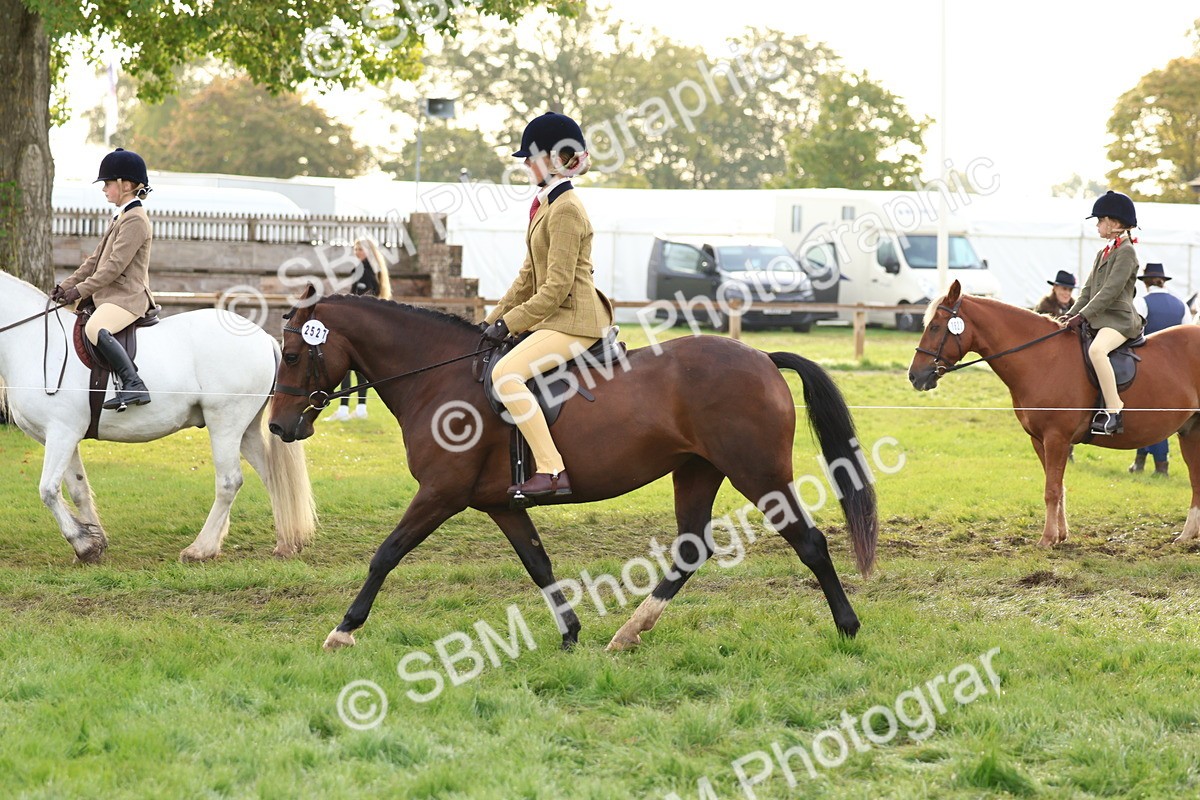 SBM_56613 - S40 - Starters Ridden Showing