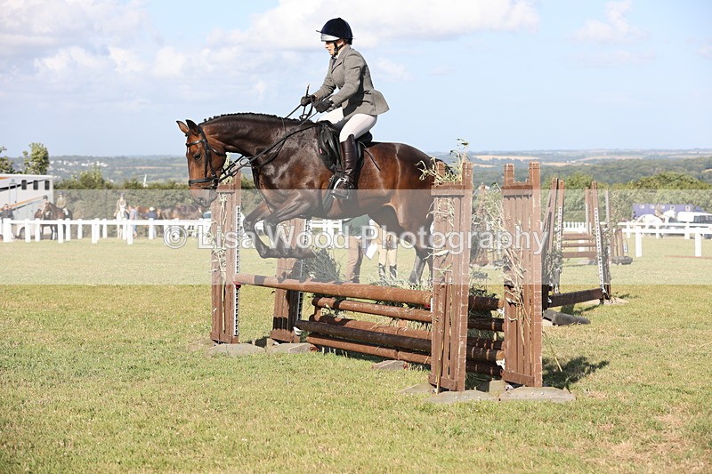 JPP_3110 - Class 21: Working Hunter 80cm