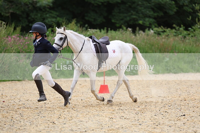 3E7A9679 - Walk trot run