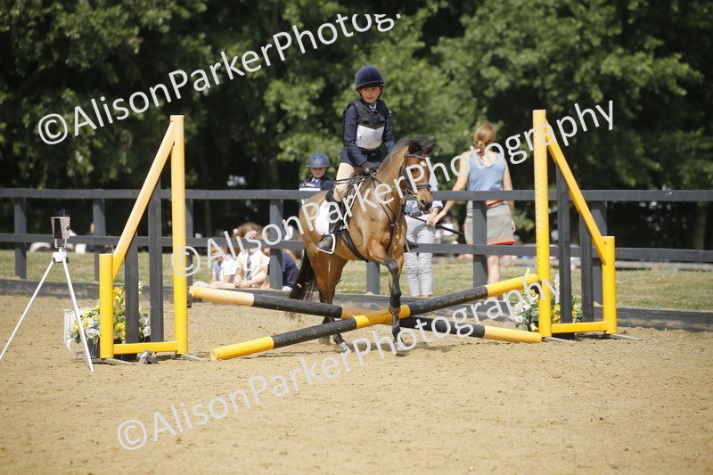 20250622-3952 - 50cm