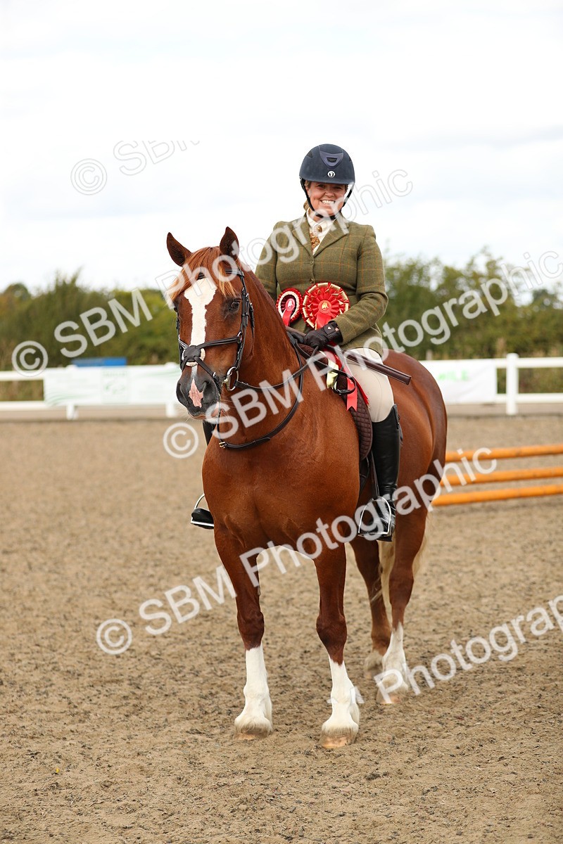 SBM_04877 - Class 47a Style & Performance 60cm (15-19)