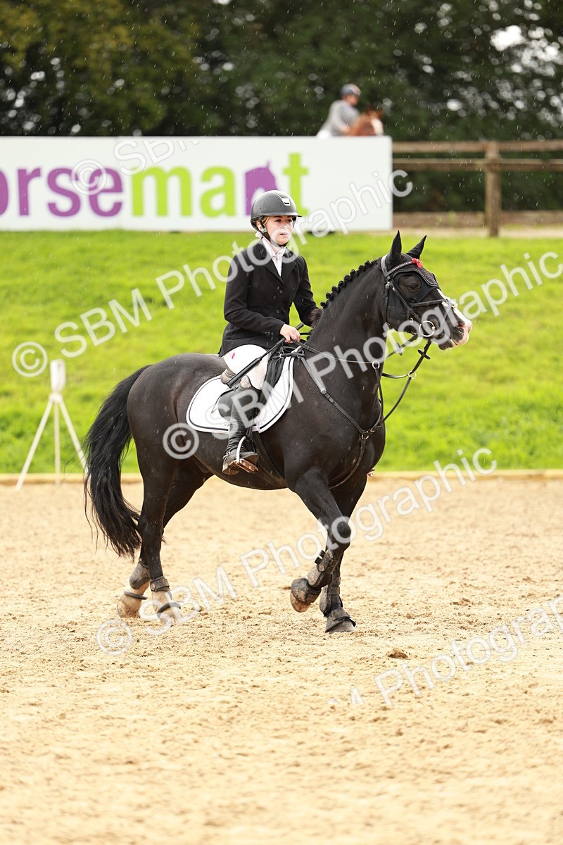 SBM_38431 - Supreme Championship 80cm 85cm
