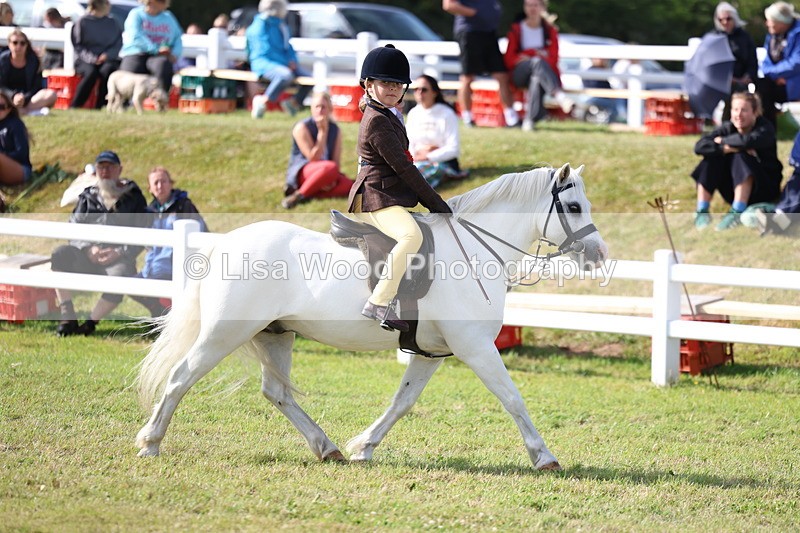 3E7A3824 - Supreme Championship