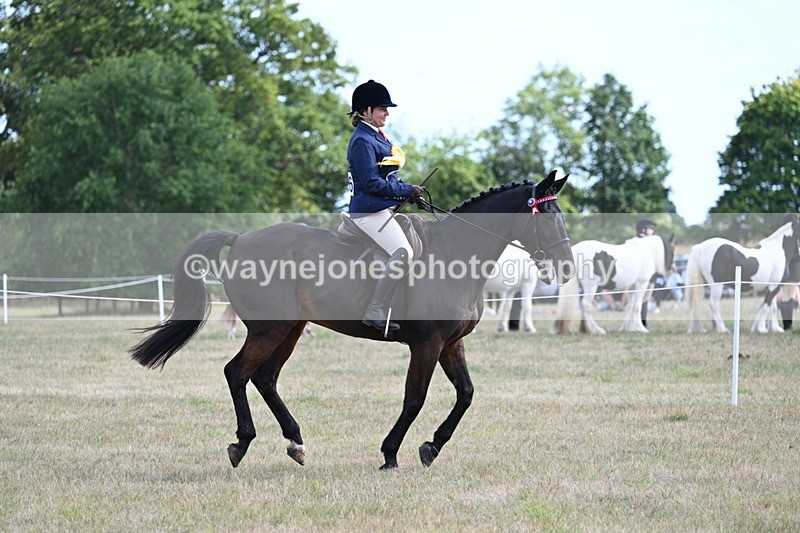 WJ7_6447 - Class 13 Ridden Veterans