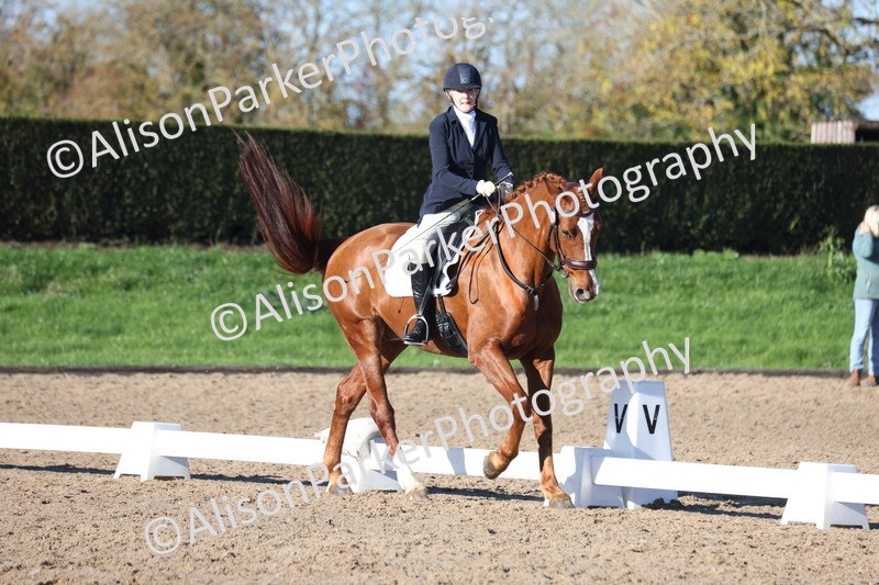 20251102-0526 - Class 3 - Novice 5