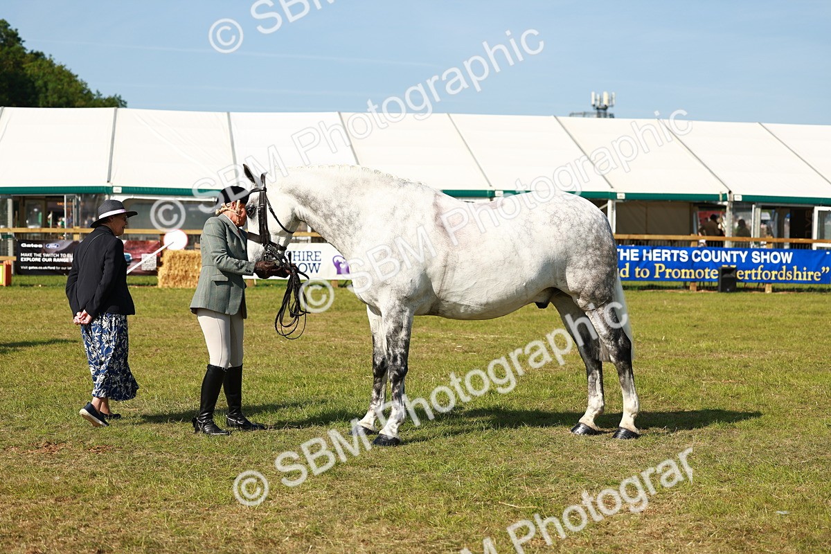 SBM_11826 - Class 66-69 - RIHS Ridden Hunters Inc Small Hunter