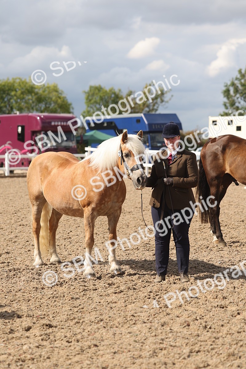 SBM_06875 - Class 25 - IH Foreign Breeds - Purebred