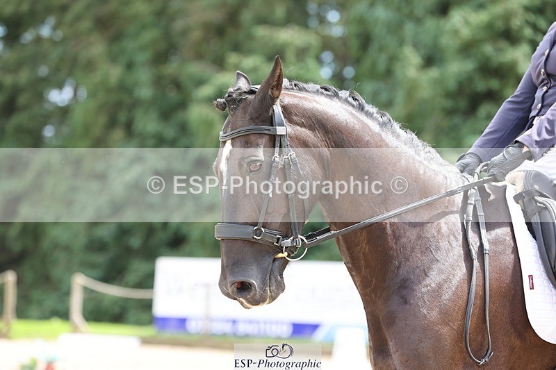 240721-141820-09501 - 232-Samantha_Pring-Tongwynlais_Moon_Dancer