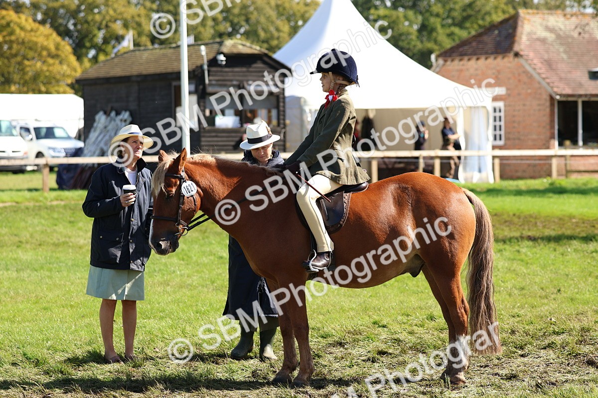 SBM_45268 - S27 - Young Veteran Ridden