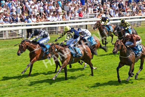 160623-Race 2-Celestial Flight-6173 - Race 2 2.25pm SKF Rous Selling Stakes