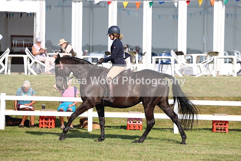 3E7A5613 - Class 2: Rising Star Large Hack/Riding Horse