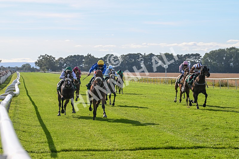 160924-Race 5-King Of The Jungle-2963 - Race 5