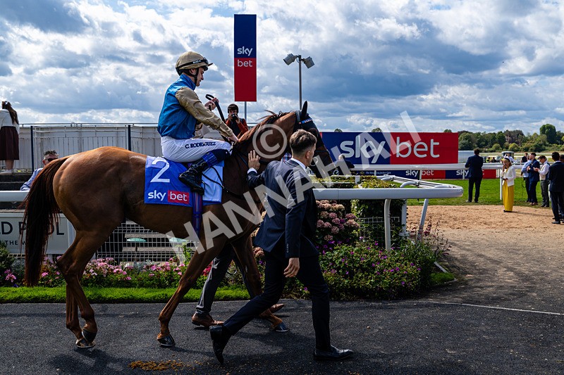 220826-Race 1-Archivist-0184 - Race 1 13.50pm Sky Bet Strensall Stakes