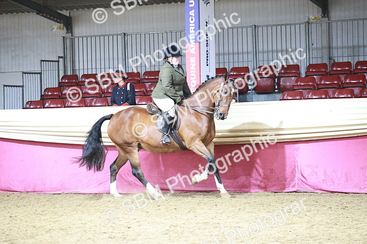 SBM_08018 - Class 11R - Regional Ridden Veteran