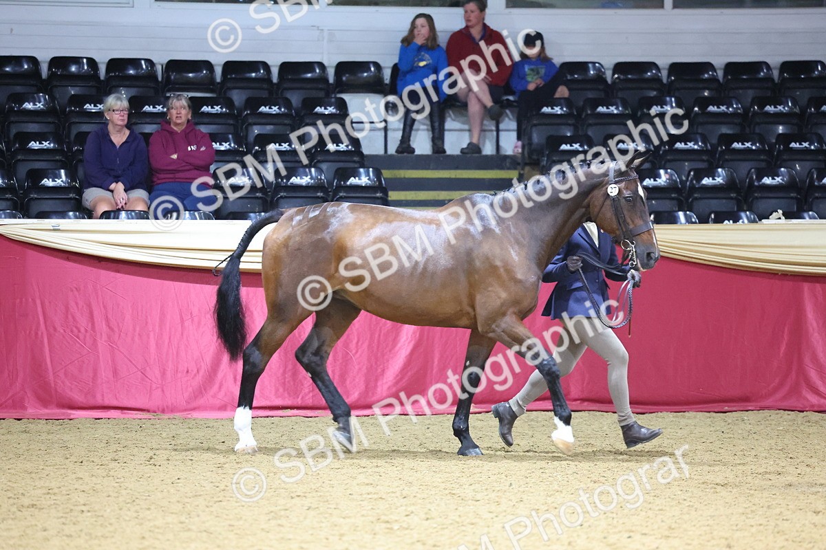 SBM_19617 - Class 901 - Supreme Final - IH Diamond