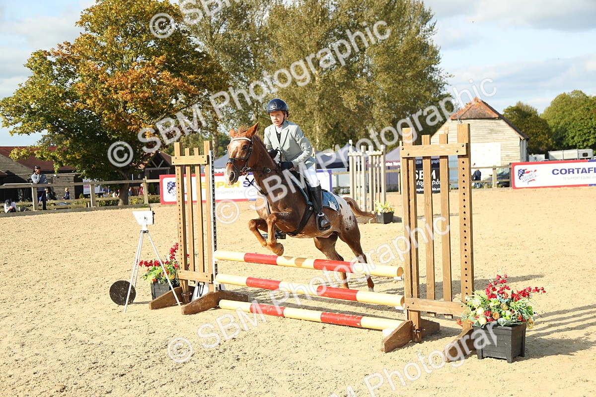 SBM_51600 - J7 - Junior Pony 60cm Championship