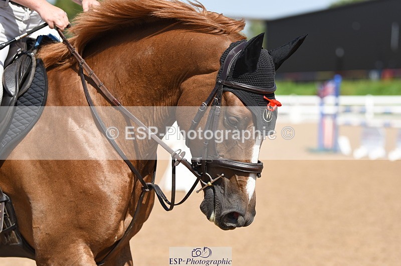 230906A-130824-00429 - Newcomers & 1.10m Open