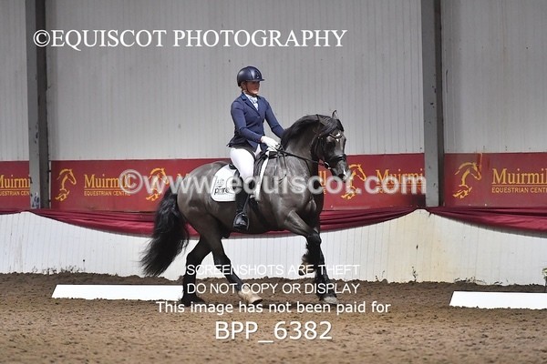BPP_6382 - 37 Ellis Simister