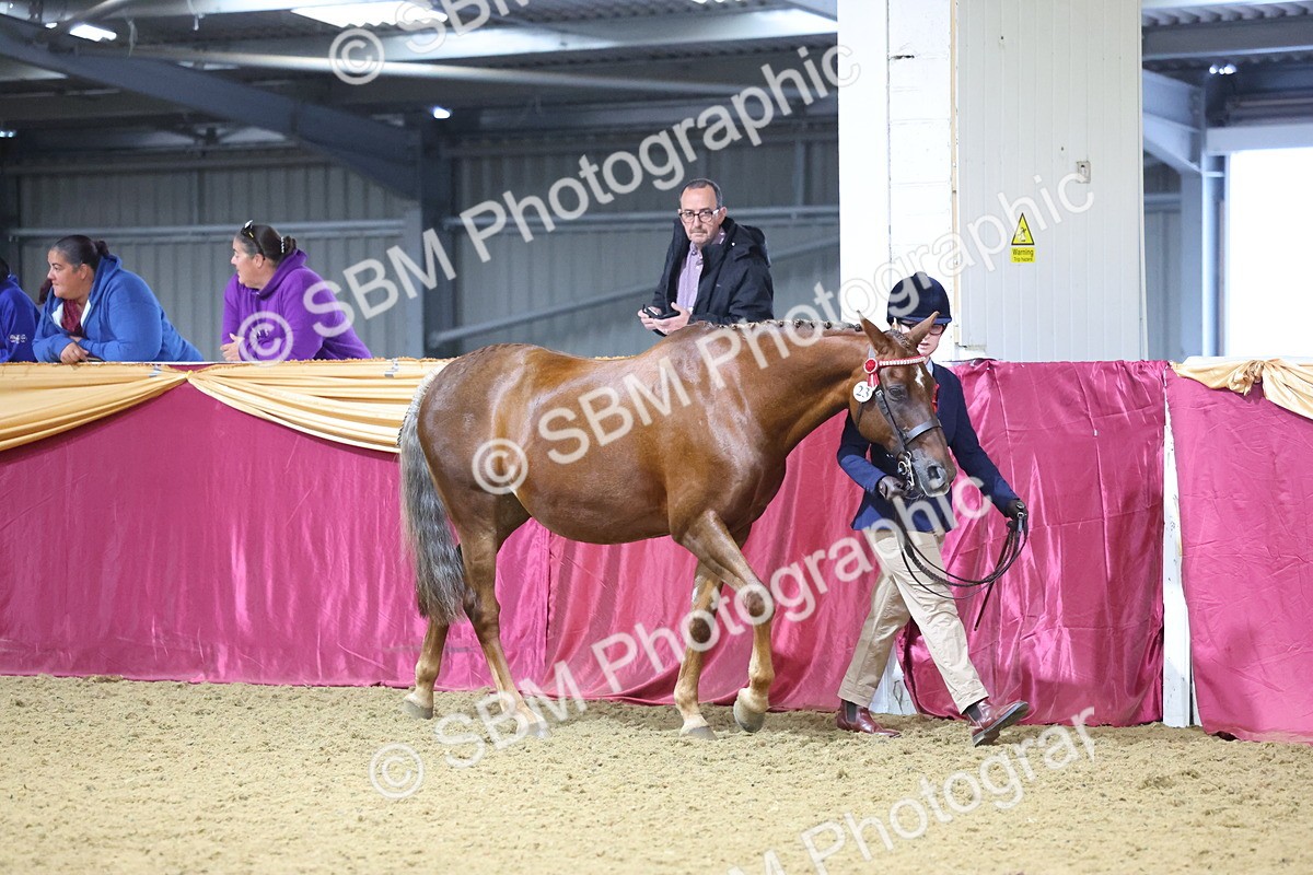 SBM_20759 - Class 902 - Supreme Final IH Veteran