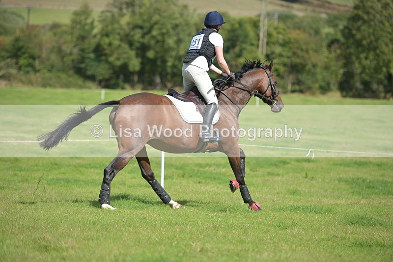 RAY_8590 - Class 2: Trekenning Open: Wall