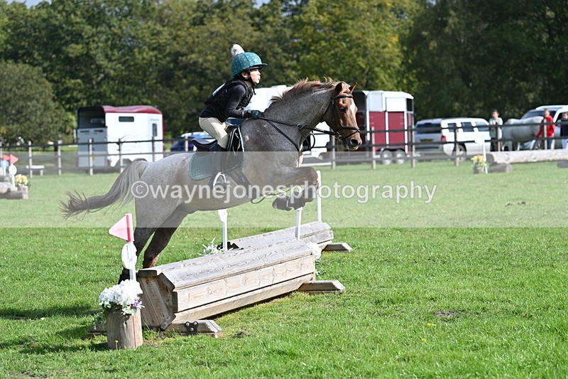 WJ7_4962 - 60cm Time 11:11 to 11:19