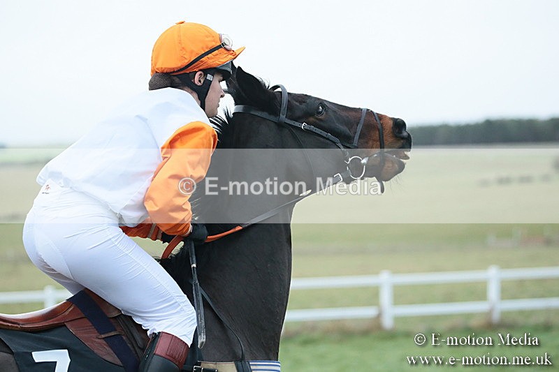 PtP 021218-46 - Hursely Hambledon Hunt Point-to-Point - Larkhill 02/12/18