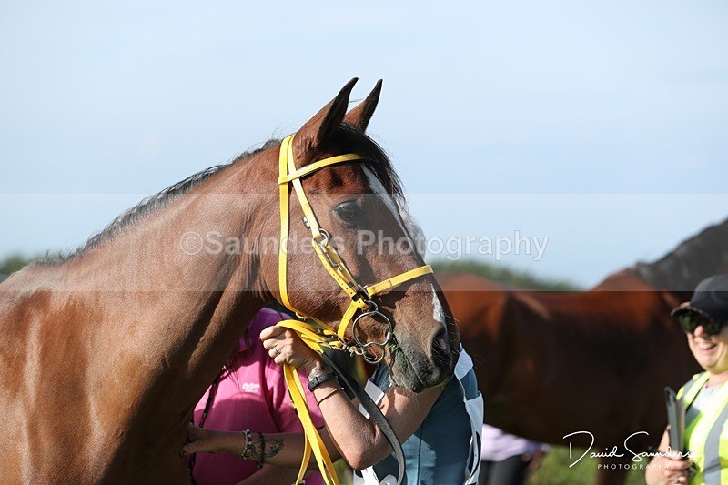 SPXX0114 - Friday vetting