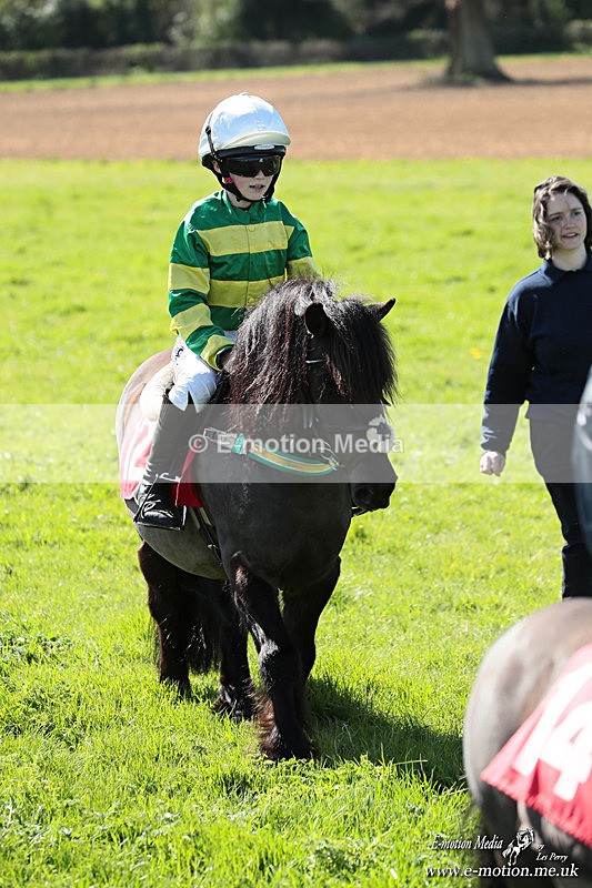 Shet 060426 372 - Shetland Pony Racing Paxford Races Easter Mon 06/04/26